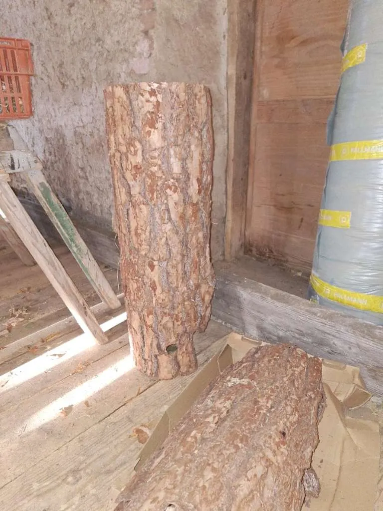 Rinde aus Massivholz kaufen – Steiermark